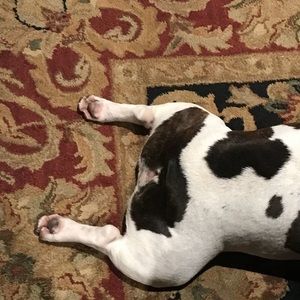 Meet your Posher, Curt